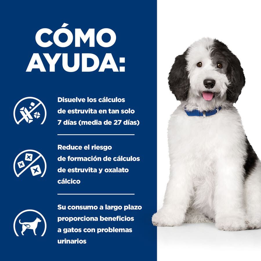 354 g Hill's Prescription Diet Urinary Care c/d Estofado de Pollo y Verduras lata para perros, , large Imagen numero 4